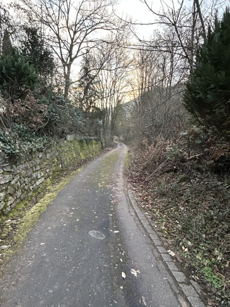 Vorbei am Staatsweingut Aßmannshausen und dann parallel zur Hauptstraße entlang zurück zum Parkplatz.