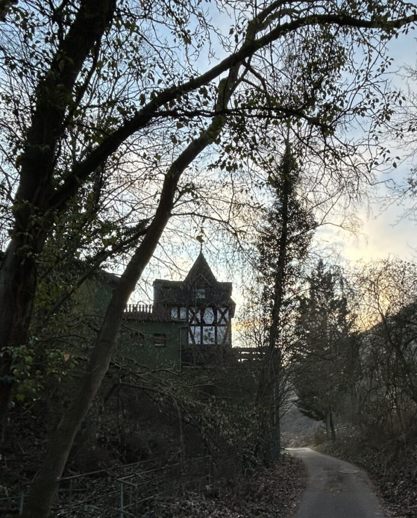 Vorbei am Staatsweingut Aßmannshausen und dann parallel zur Hauptstraße entlang zurück zum Parkplatz.