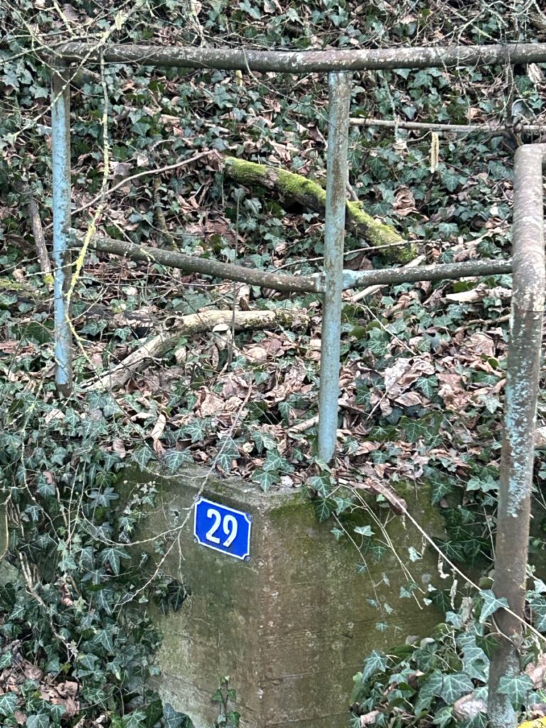 Vorbei am Staatsweingut Aßmannshausen und dann parallel zur Hauptstraße entlang zurück zum Parkplatz.