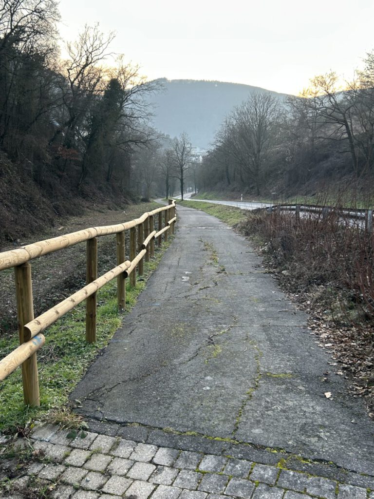 Vorbei am Staatsweingut Aßmannshausen und dann parallel zur Hauptstraße entlang zurück zum Parkplatz.