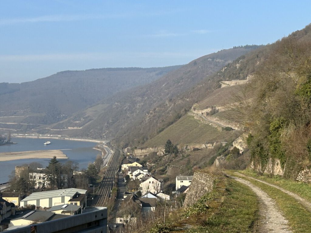 Riesling Schleife Himmel und Höllenberg