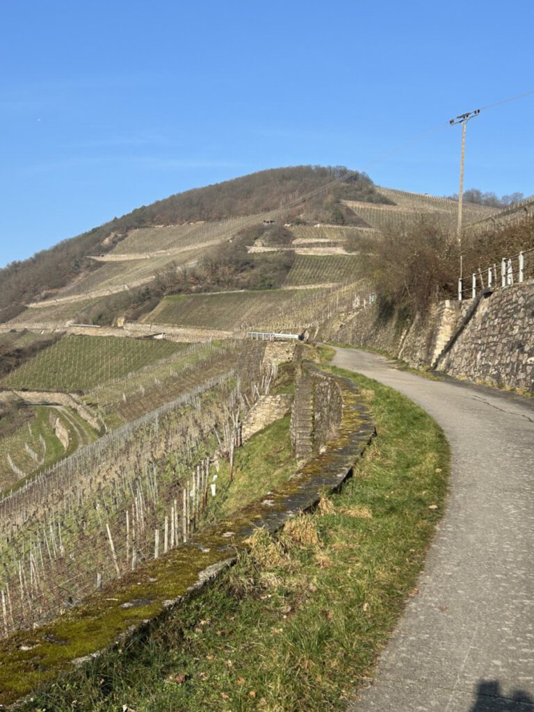 Riesling Schleife Himmel und Höllenberg