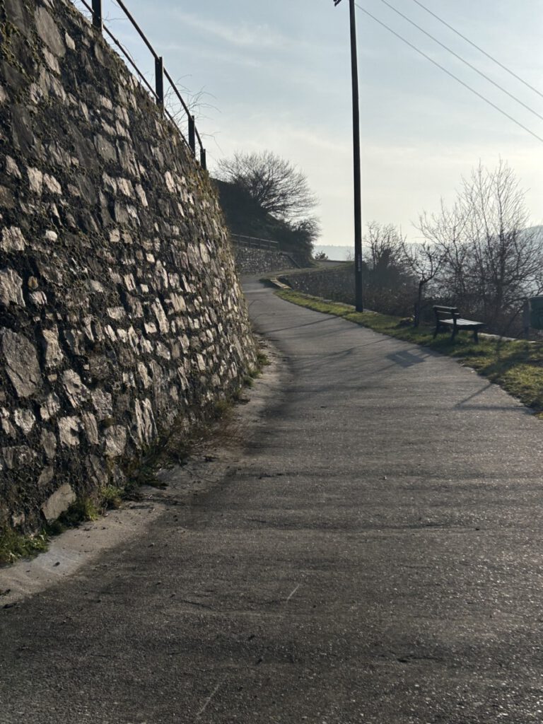 Riesling Schleife Himmel und Höllenberg