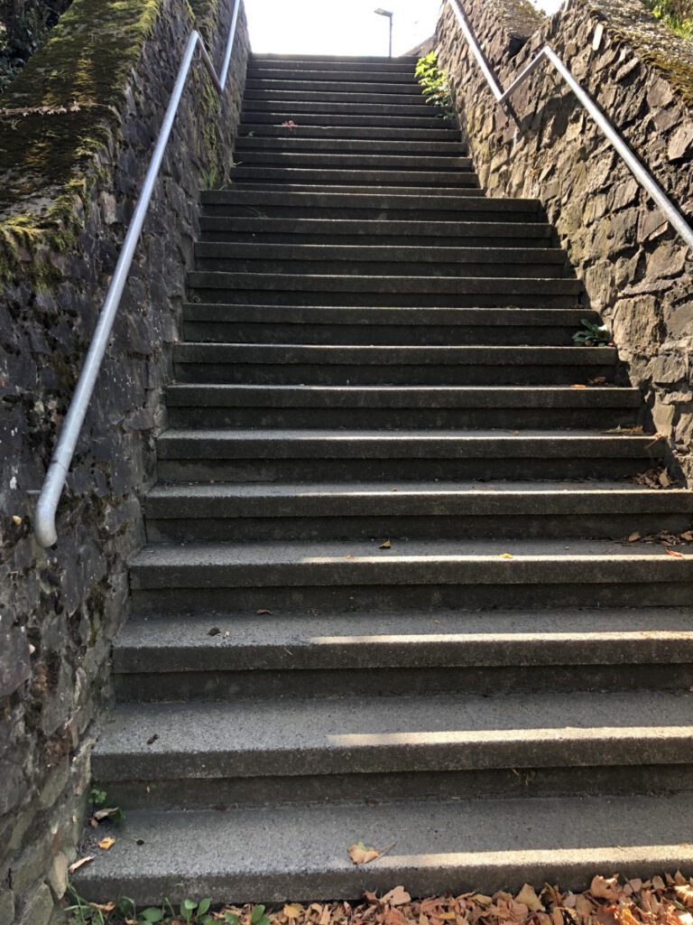 Riesling Schleife Schlösserblick