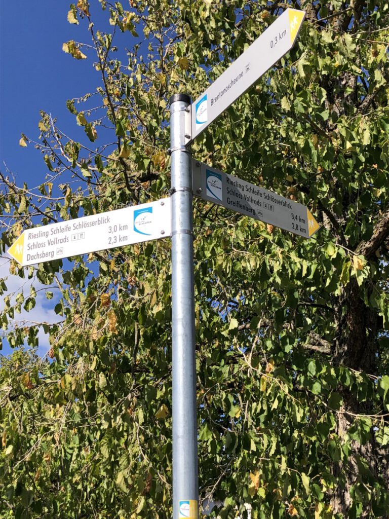 Riesling Schleife Schlösserblick