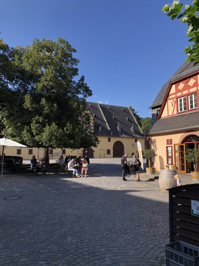 Riesling Schleife Schlösserblick