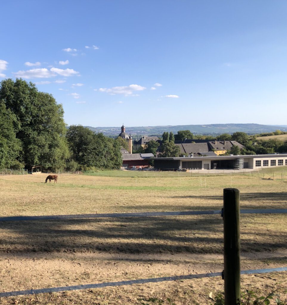 Riesling Schleife Schlösserblick