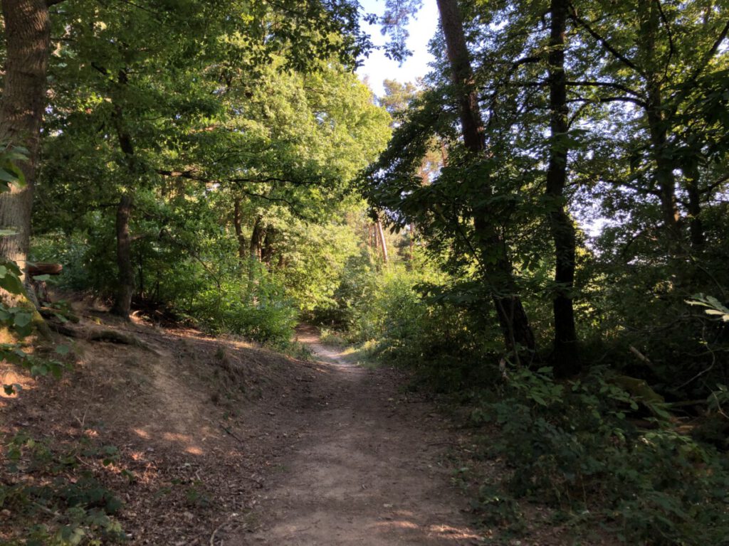 Riesling Schleife Schlösserblick