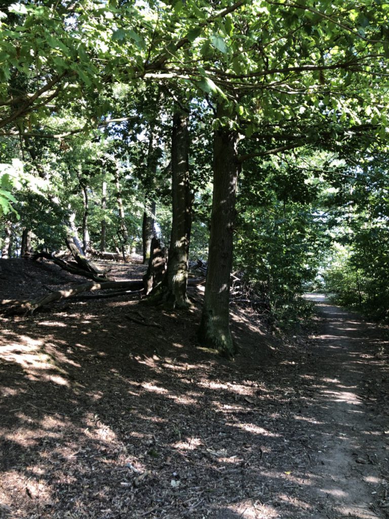 Riesling Schleife Schlösserblick