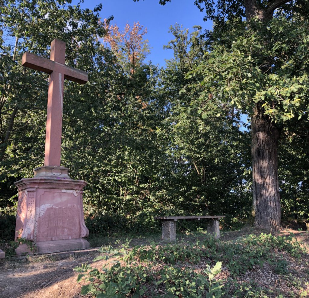 Riesling Schleife Schlösserblick