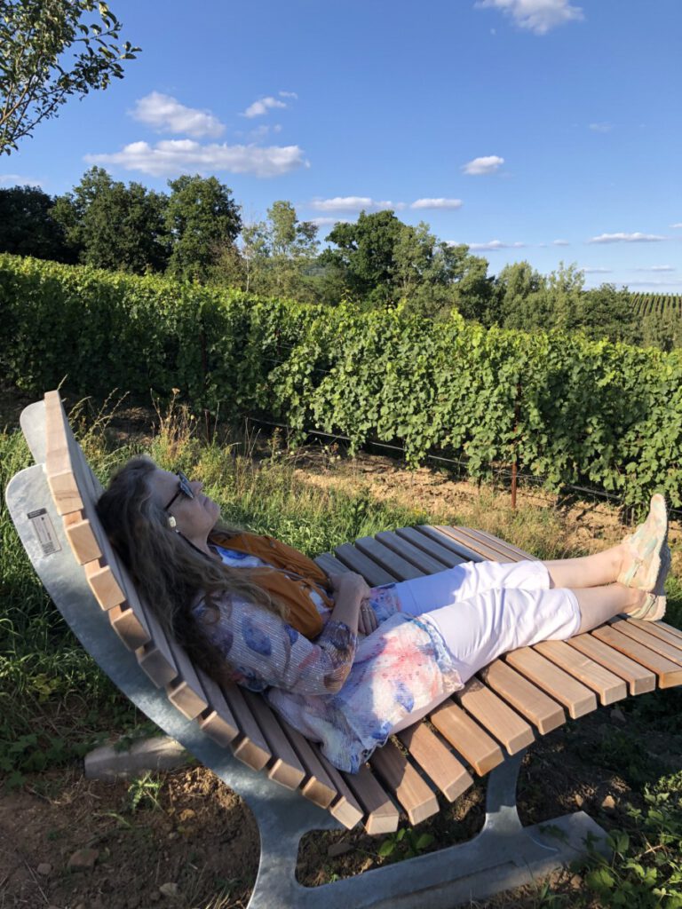 Riesling Schleife Schlösserblick