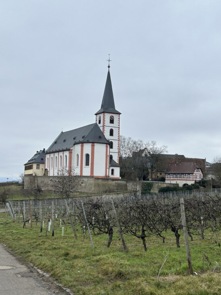 Riesling Schleife Wein und Victoria Hochheim