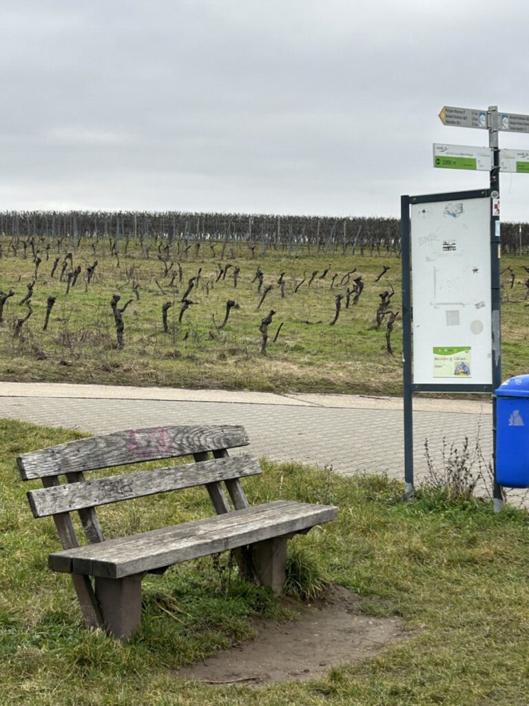 Riesling Schleife Wein und Victoria Hochheim