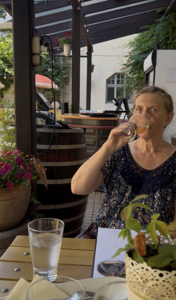 Weingut Dr. Wehrheim - mein Wein des Monats Juni 2026