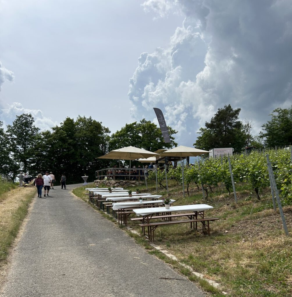 Wein des Monats Mai 2026