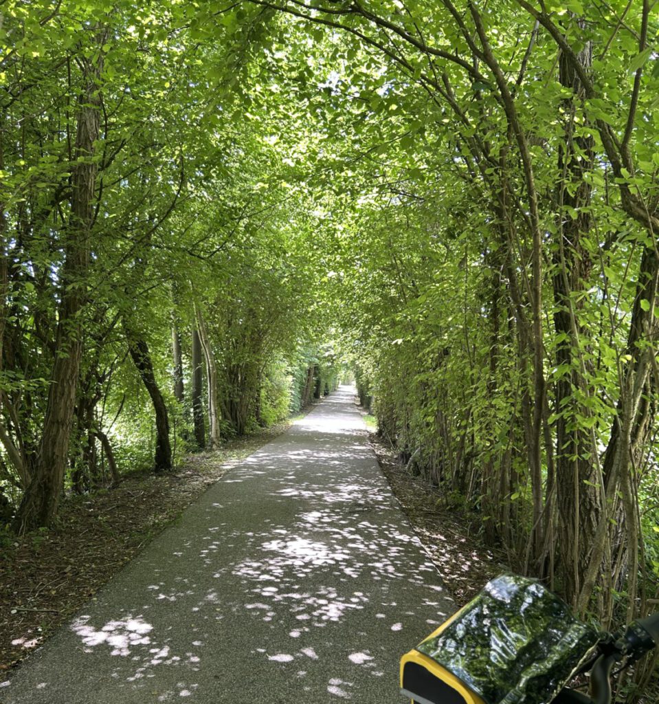 Alpe Adria-Radweg - Teil 5 - von Tarvis nach Udine