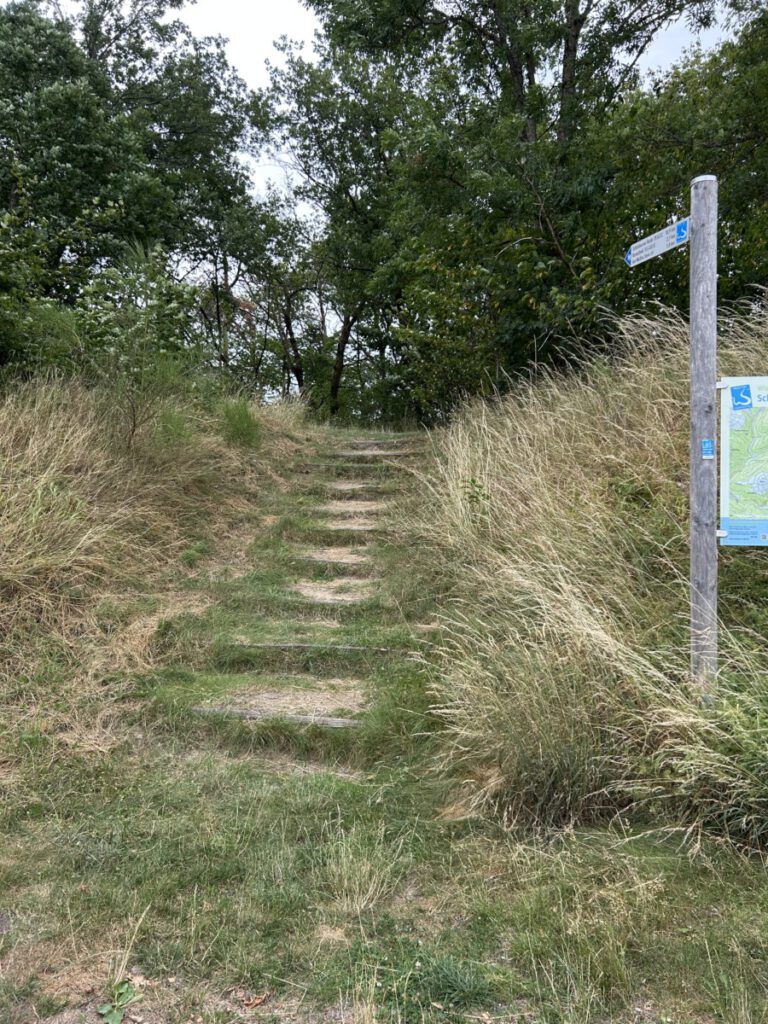 Schwälbchens Flug - Start am Rastplatz