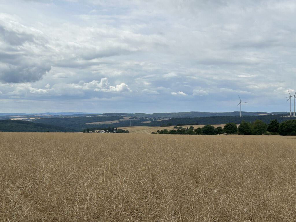 Schwälbchens Flug - Panoramasicht 1