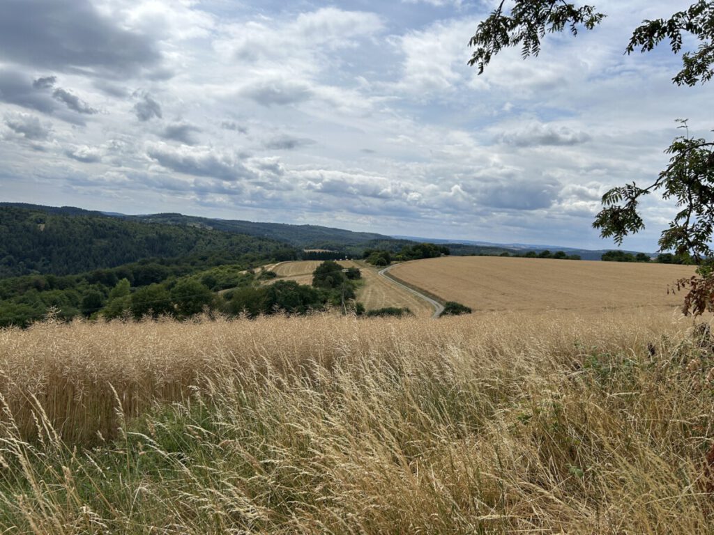 Schwälbchens Flug - Ausblick von der Himmelsbank