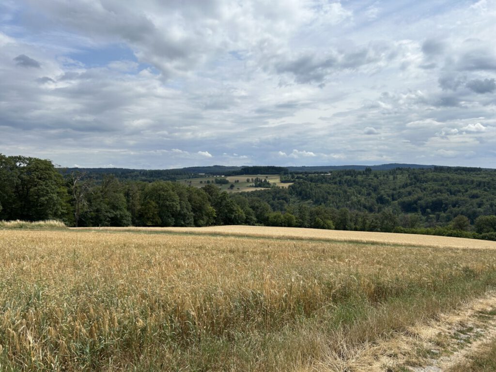 Schwälbchens Flug - Panoramasicht 2