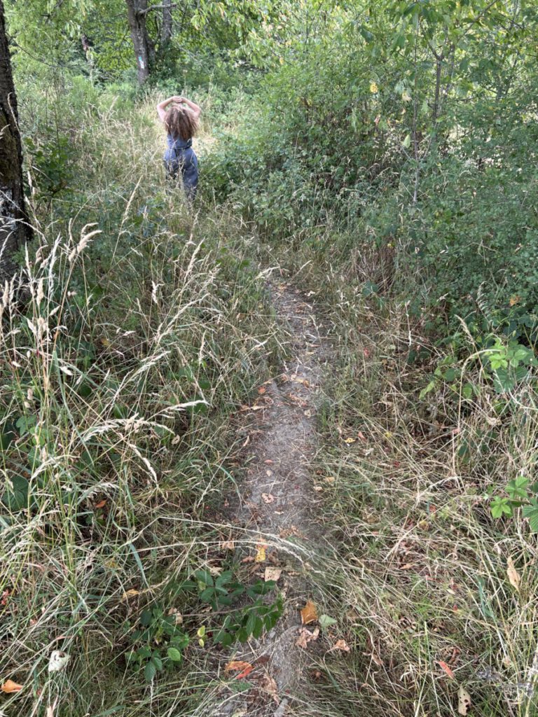 Schwälbchens Flug - zugewachsene Wege