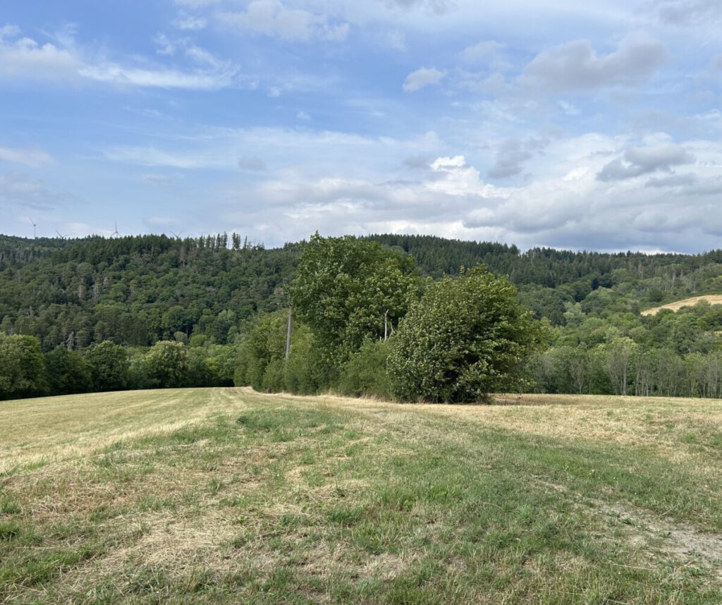 Schwälbchens Flug - Panoramasicht 3