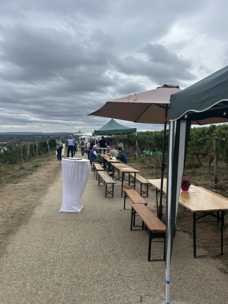 Gamaret - mein Wein des Monats September 2026