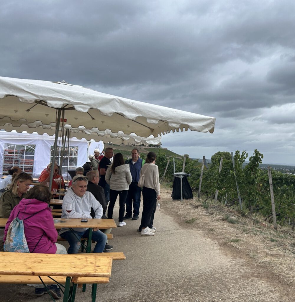 Gamaret - mein Wein des Monats September 2026