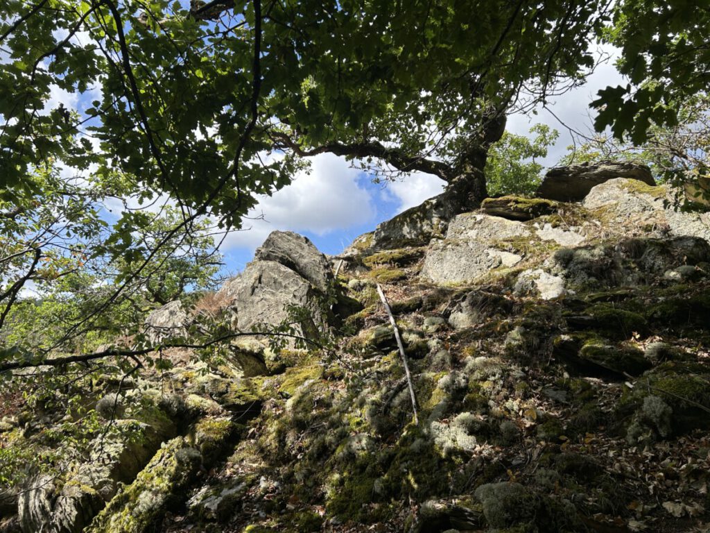 Wispertrail Wispertalsteig