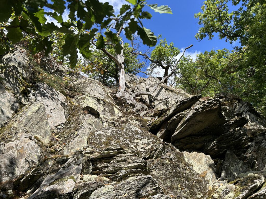 Wispertrail Wispertalsteig