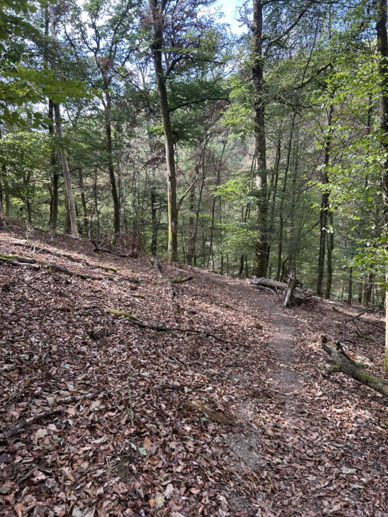 Wispertrail Wispertalsteig