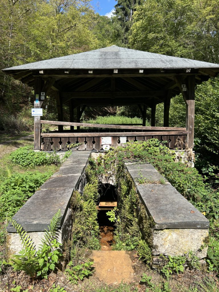 Wispertrail Wispertalsteig