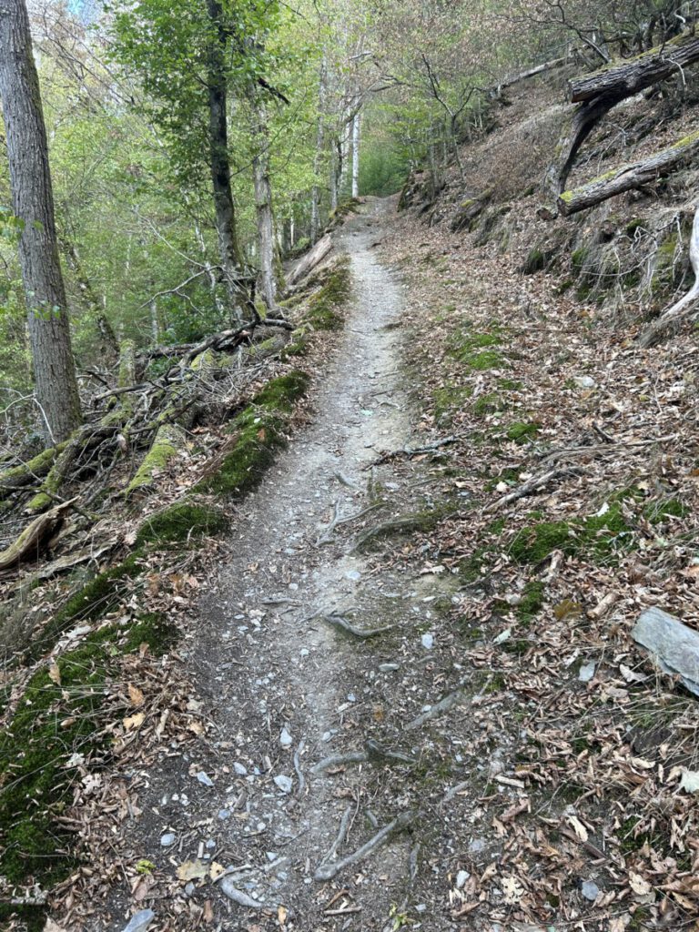 Wispertrail Wispertalsteig