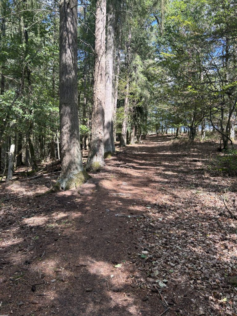Wispertrail Wispertalsteig
