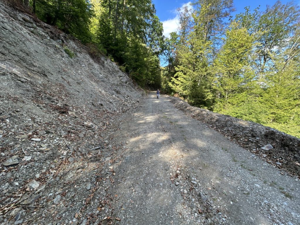 Wispertrail Wispertalsteig