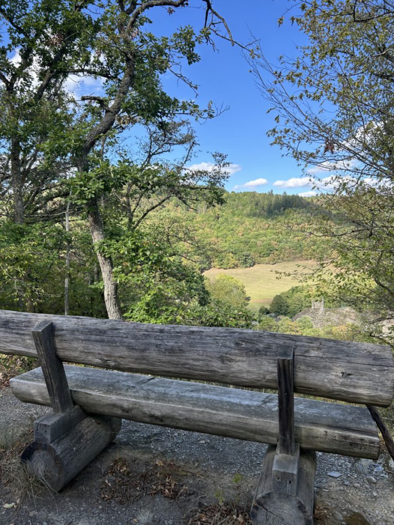 Wispertrail Wispertalsteig