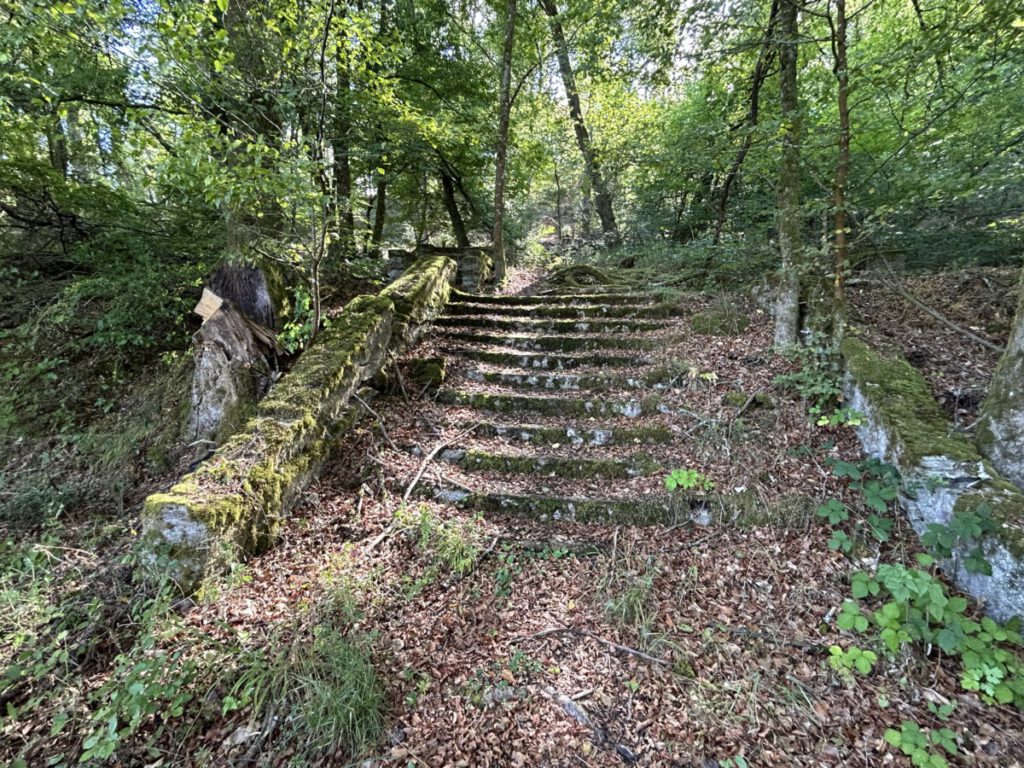 Wispertrail Wispertalsteig