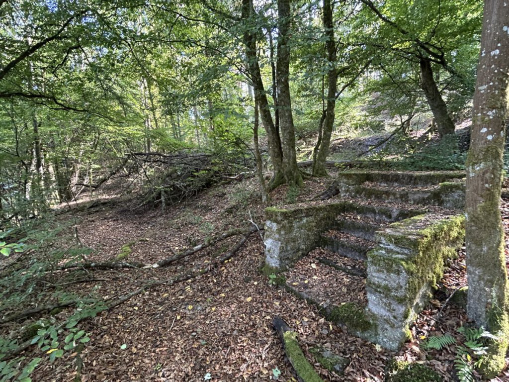 Wispertrail Wispertalsteig