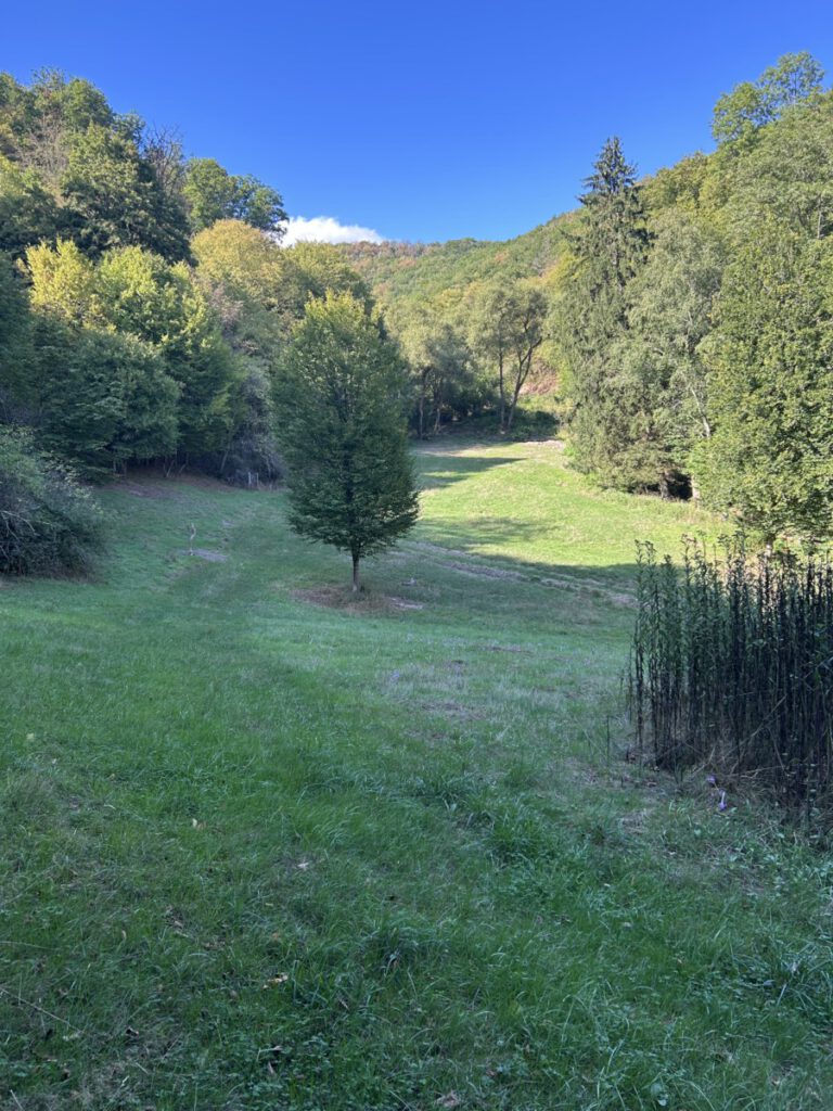 Wispertrail Wispertalsteig