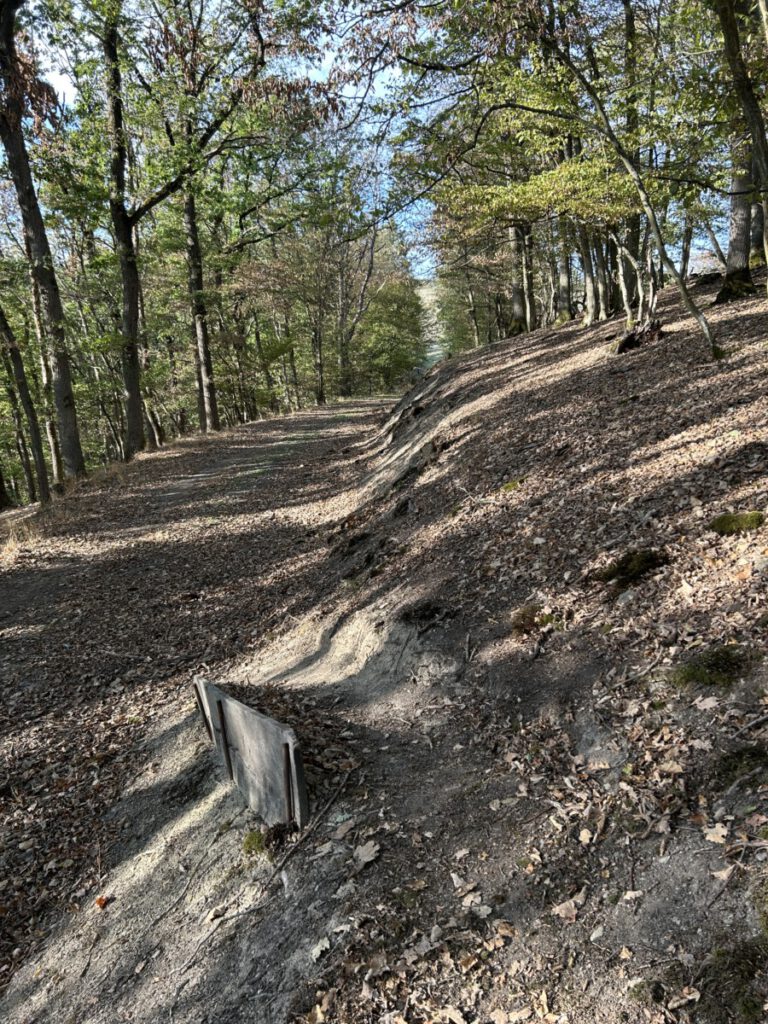 Wispertrail Wispertaler Krönchen