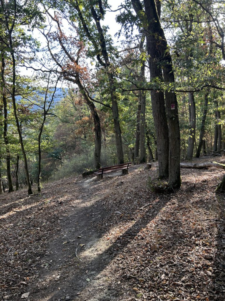 Wispertrail Wispertaler Krönchen