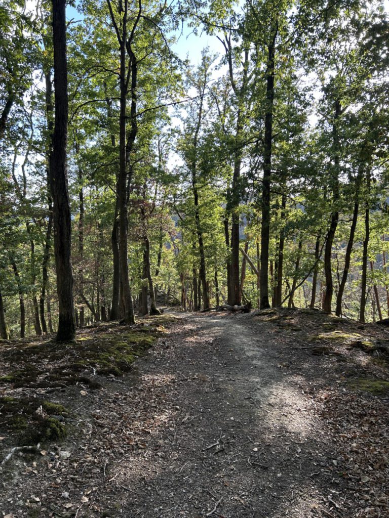 Wispertrail Wispertaler Krönchen