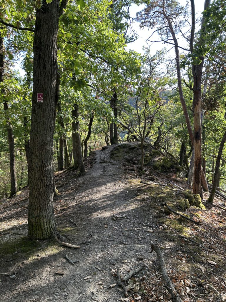 Wispertrail Wispertaler Krönchen