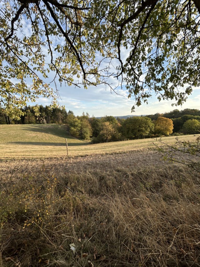 Blick von der Bank "Unter den Kirschen"